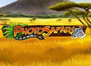 Photo Safari tragaperras