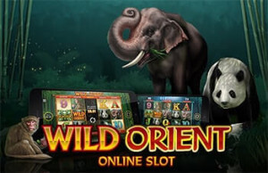 Wild Orient tragaperras