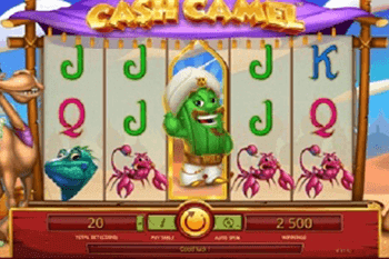 Cash Camel tragamonedas