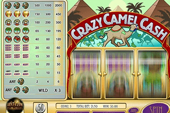 Crazy Camel Cash tragamonedas