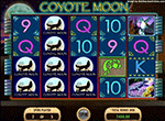 Coyote Moon